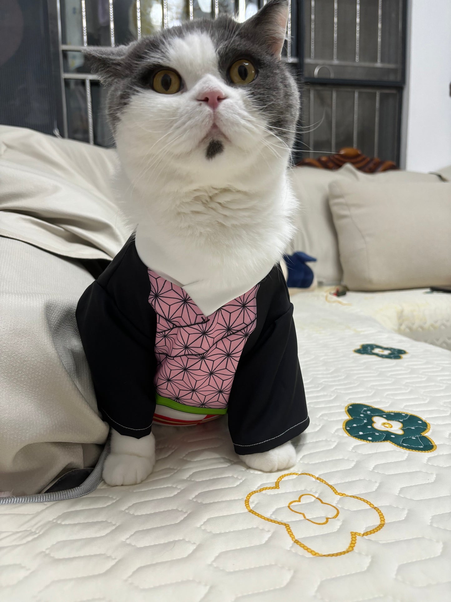 Cat Cosplay Outfit - Demon Slayer Nezuko-Inspired Costume for Cats & Small Dogs | Anti-Shedding Spring/Summer Wear