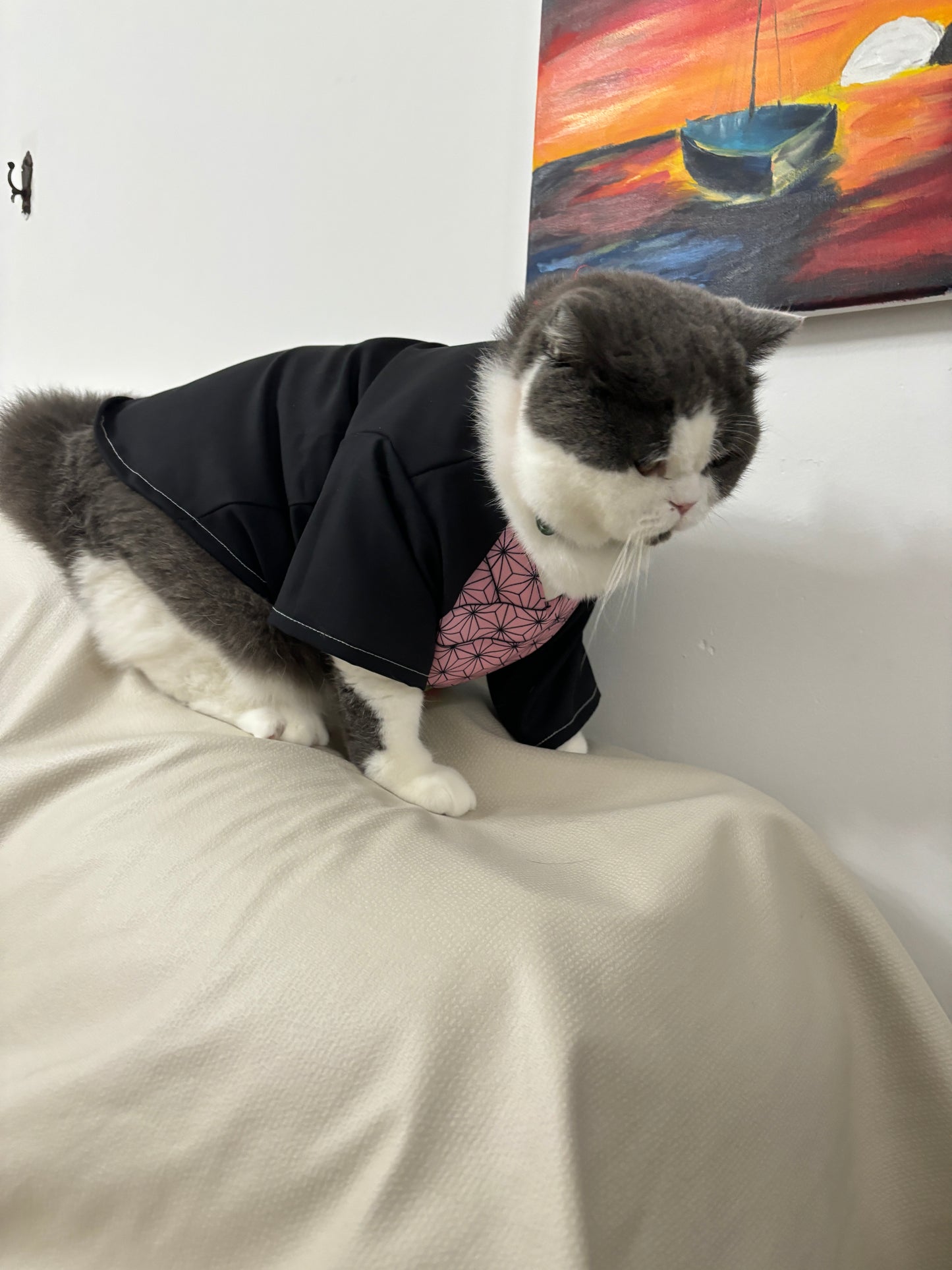 Cat Cosplay Outfit - Demon Slayer Nezuko-Inspired Costume for Cats & Small Dogs | Anti-Shedding Spring/Summer Wear